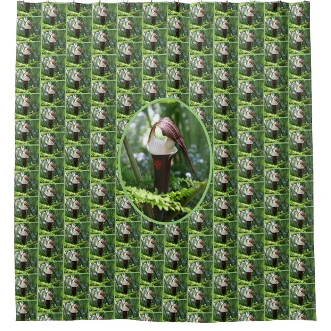 Large Jack In The Pulpit Flower Pattern Shower Curtain (Front)