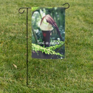 Large Jack In The Pulpit Flower Personalized