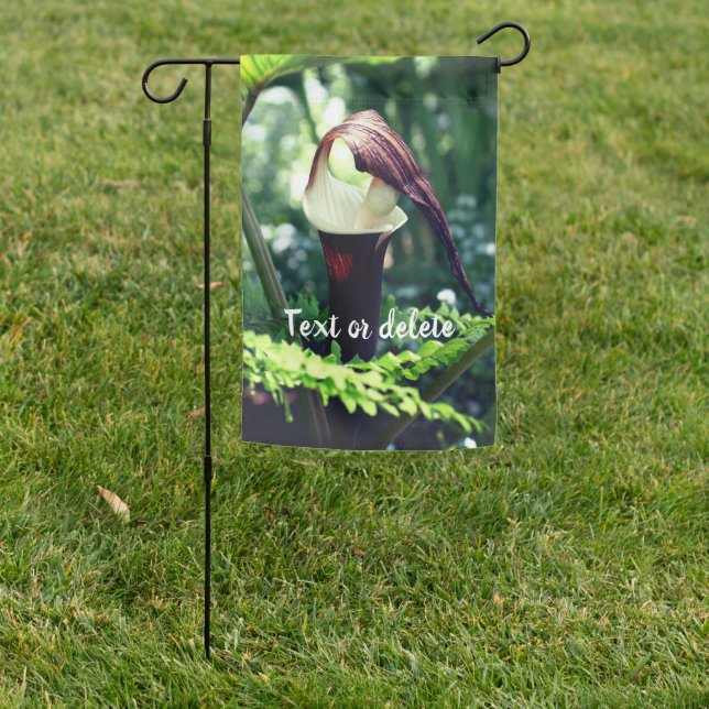 Large Jack In The Pulpit Flower Personalized Garden Flag (In SItu)