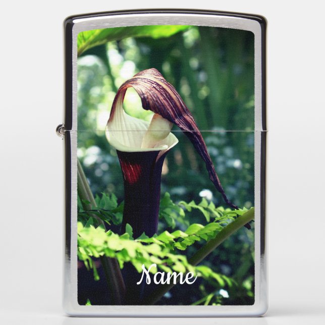 Large Jack In The Pulpit Flower Personalized Zippo Lighter (Front)