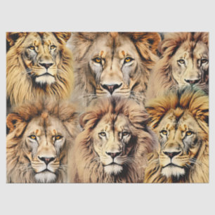 Large King of the Jungle Faces Decoupage Tissue Paper