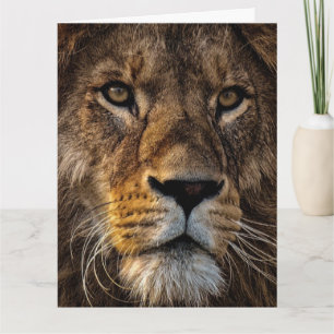 Large Lion Face Folded Greeting Card