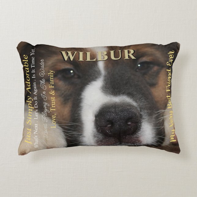 Large Magazine Styled Pet Accent Pillow (Front)