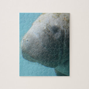 Large Manatee Underwater Jigsaw Puzzle