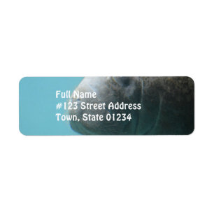 Large Manatee Underwater Label