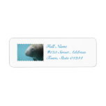 Large Manatee Underwater Label