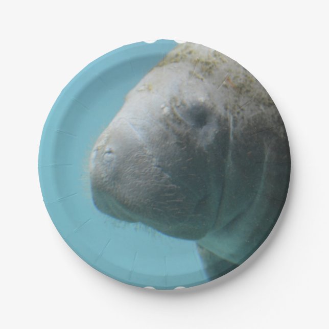 Large Manatee Underwater Paper Plates (Front)
