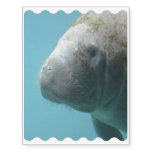 Large Manatee Underwater Temporary Tattoos