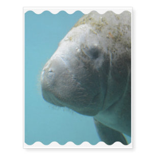 Large Manatee Underwater Temporary Tattoos