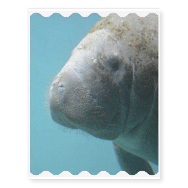 Large Manatee Underwater Temporary Tattoos (Front)
