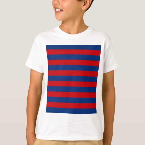 Large Modern Vibrant Horizontal Stripes Decor T_Shirt