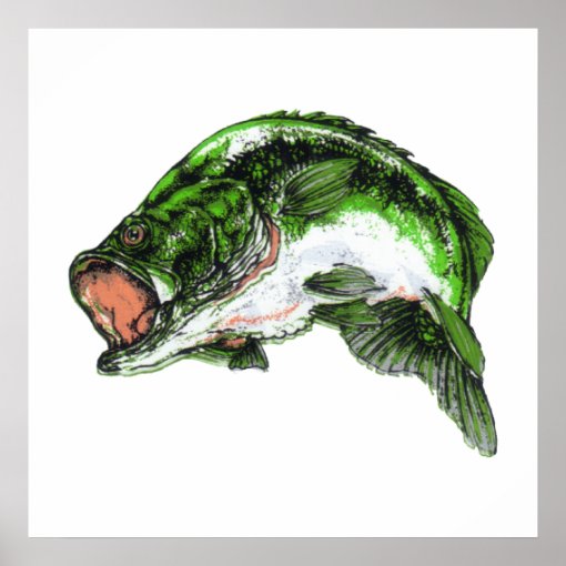 Large mouth Bass Poster | Zazzle