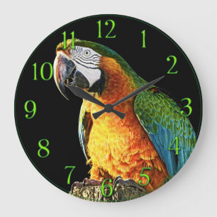 Large Orange and Teal Parrot on a Stump Large Clock