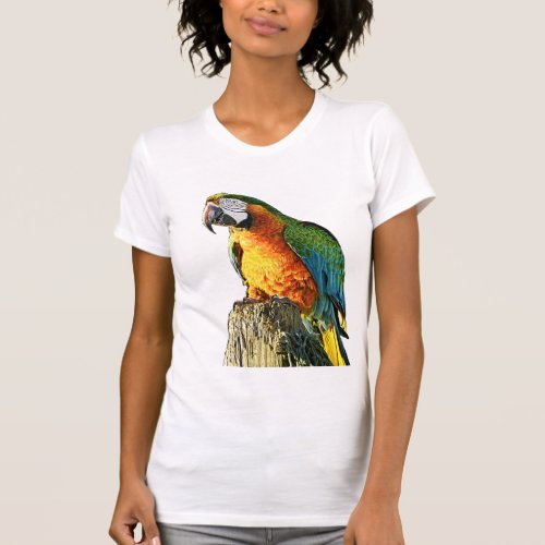 Large Orange and Teal Parrot on a Stump T_Shirt