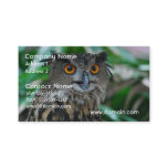 Large Owl Business Cards