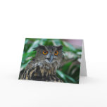 Large Owl Greeting Card