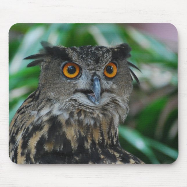 Large Owl Mouse Pad (Front)
