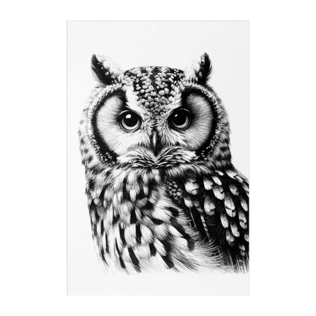 Large Owl Portrait 24x36" Acrylic Wall Art (Front)