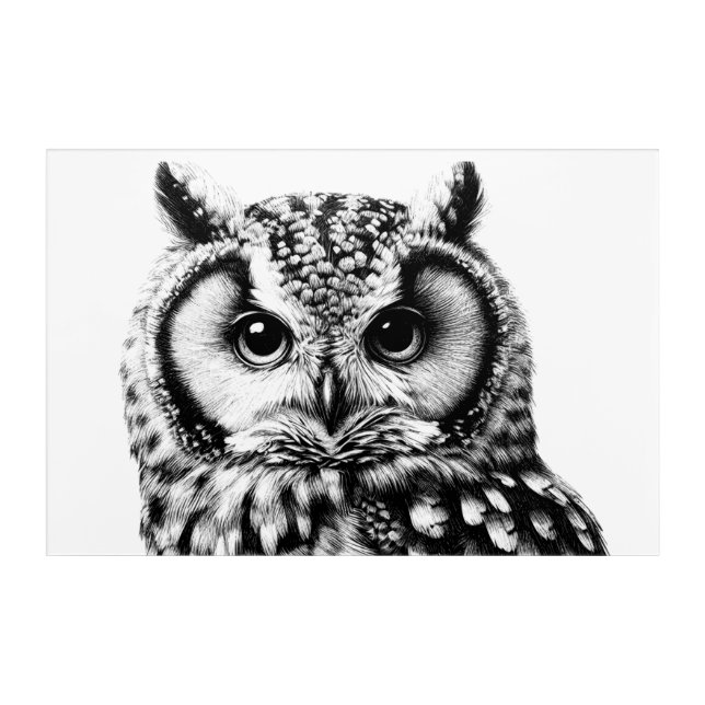 Large Owl Portrait 36x24" Acrylic Wall Art  (Front)