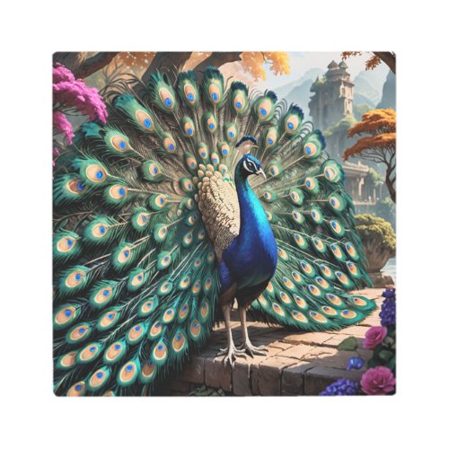 Large Peacock on Stone Walkway Metal Print