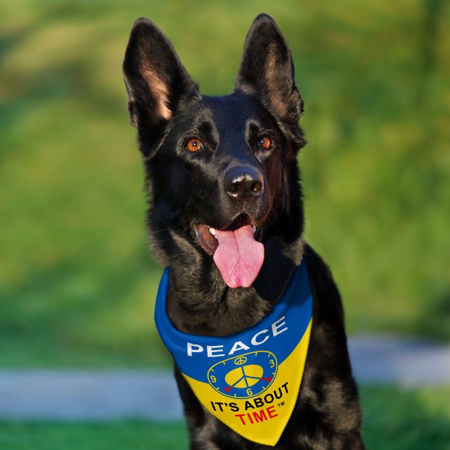 Large Pet Bandana Collar (Dog)