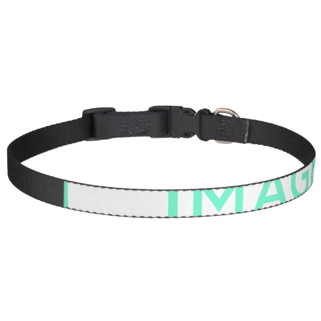 Large Pet Collar (Front)