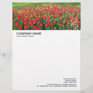 Large Picture Header - Bed of Red Tulips 01 Letterhead