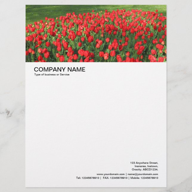Large Picture Header - Bed of Red Tulips 02 Letterhead (Front)