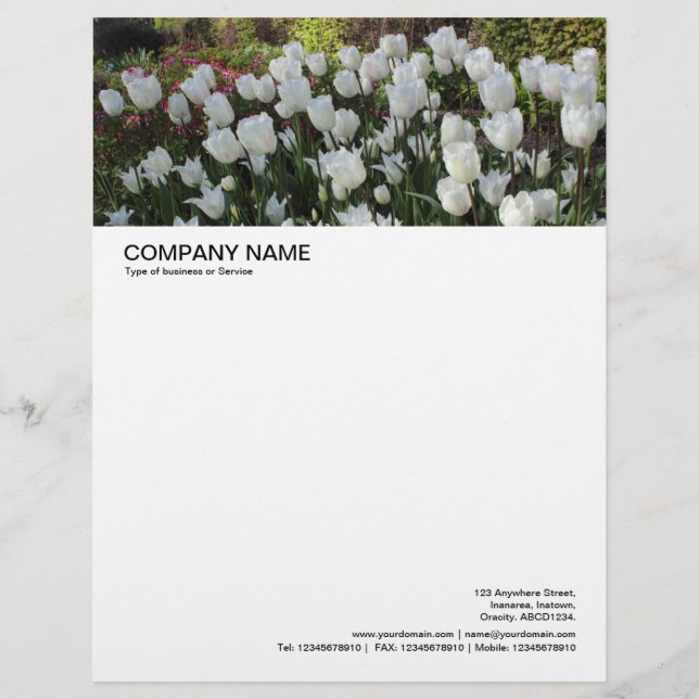 Large Picture Header - Bed of White Tulips Letterhead (Front)
