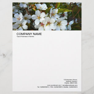 Large Picture Header - Cherry Blossom 02 Letterhead