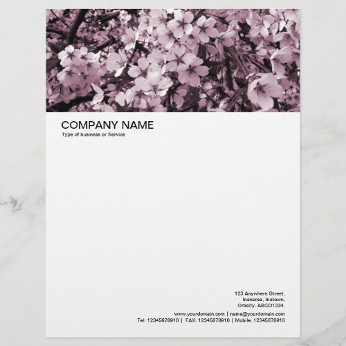 Large Picture Header _ Cherry Blossom Letterhead