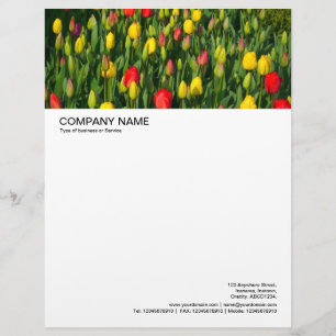 Large Picture Header - Colorful Tulips Letterhead