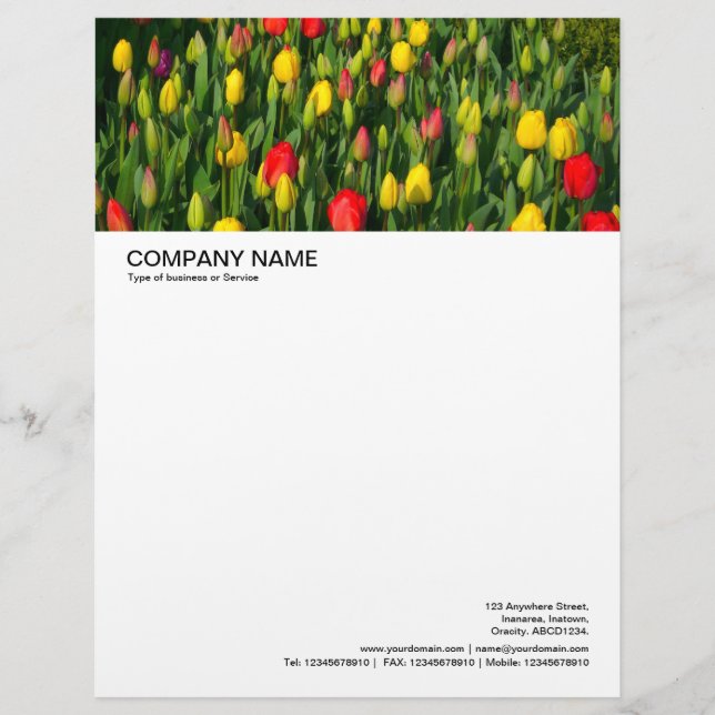 Large Picture Header - Colorful Tulips Letterhead (Front)