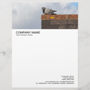 Large Picture Header - Good Morning Pigeon Letterhead
