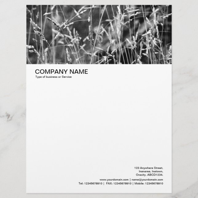 Large Picture Header - Grass Abstract 02 Letterhead (Front)