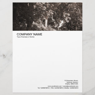 Large Picture Header - In the Trees Letterhead