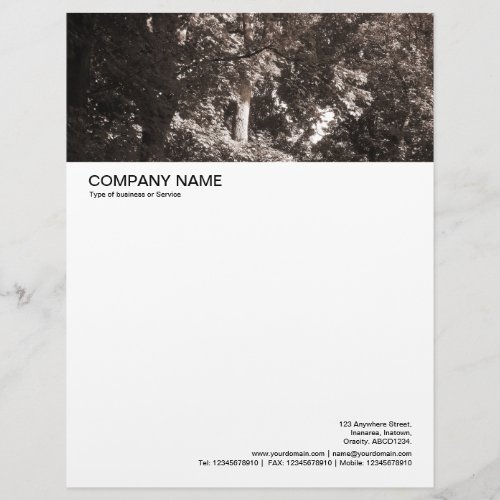 Large Picture Header _ In the Trees Letterhead