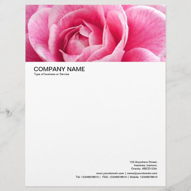 Large Picture Header - Pink Camelia Letterhead (Front)