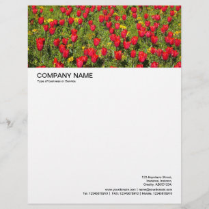 Large Picture Header - Red Tulips Letterhead