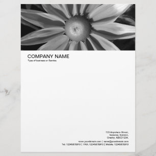 Large Picture Header - Rudbecia in Black and White Letterhead