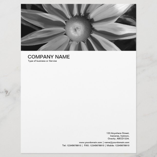 Large Picture Header - Rudbecia in Black and White Letterhead (Front)