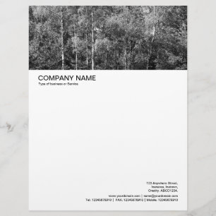 Large Picture Header - Silver Birch Letterhead