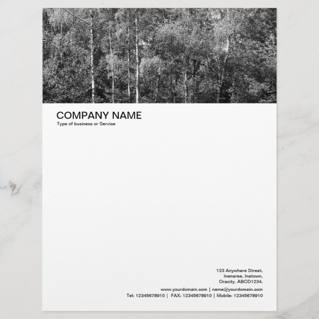 Large Picture Header - Silver Birch Letterhead (Front)