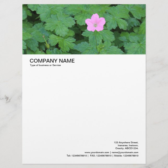 Large Picture Header - Single Geranium Letterhead (Front)