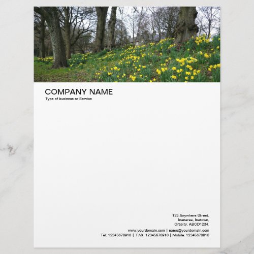 Large Picture Header _ Spring in Bute Park Letterhead