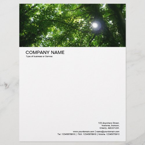 Large Picture Header _ Sun Shining Through Trees Letterhead