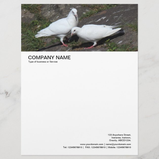 Large Picture Header - White Pigeons Letterhead (Front)