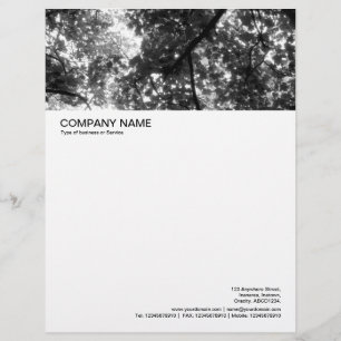 Large Picture Header - Woodland Canopy Letterhead