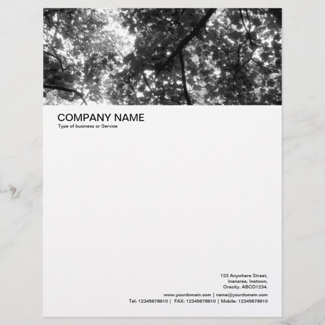 Large Picture Header - Woodland Canopy Letterhead (Front)