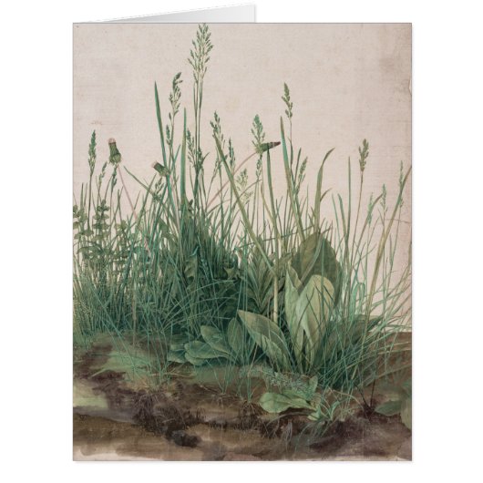 Large Piece of Turf by Albrecht Durer (Front)